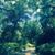 Shayla Lunsford's profile image