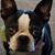 Tracy Brown's profile image