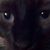 Renee Quinn's profile image