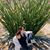 Michelle Trevino's profile image