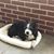 Kathy Muller's profile image