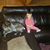Wayne Halverson's profile image