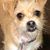 Lori Uvalle's profile image