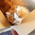 Mary Giannopoulos's profile image