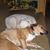 Mary Mielke's profile image