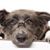 Michael Ferk's profile image