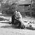 Lee N Debbie Canseco's profile image