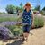Karen Hendrickson Brutzman's profile image