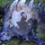 Michele Godfrey's profile image