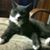 Donna Keisman's profile image