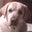 Jeff Brink's profile image