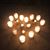 Chris Kara Plourde's profile image