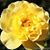 Mary Jo Watson's profile image