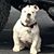 Bruce Barr's profile image