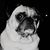 Vincent Robles III's profile image