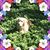 Debbie Reith's profile image