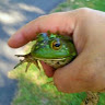 Richard P.'s profile image