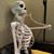 Kellie Bell Raya's profile image