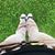 Glo Cha's profile image