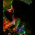 Sascha Wu's profile image