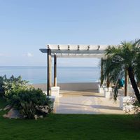 Pam Tines Jordan's profile image