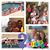 Diane Hames Sais's profile image