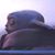 Marcos Lara's profile image