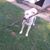 Patricia Hoak's profile image