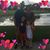 Kimberly May's profile image
