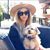 Noelle Phillips Ebert's profile image