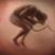 Timothy Allen's profile image