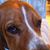 Mike Brady's profile image