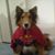 Pat Hogendyk Johnson's profile image