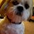 Melanie A. Jarvis's profile image