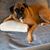 Cheryl Whitfield Akridge's profile image