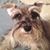 Shelly Skoog-Smith's profile image
