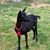 Marci Snead's profile image