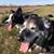 Traci Patnode's profile image
