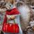 Virginia Spina's profile image