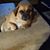 Catherine Thornton's profile image