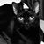 Robin Van Vught's profile image