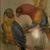 Denise Greer's profile image