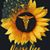 Yesamin Borrero's profile image