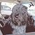 Donna Rader's profile image
