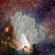 Wendy Pruitt's profile image