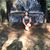 Carmen Cerrillo's profile image