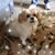 Judy Jones's profile image