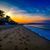 Tess Matt Young-Morrissy's profile image