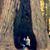 Tara Wall Richbourg's profile image