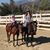 Mary Capel's profile image
